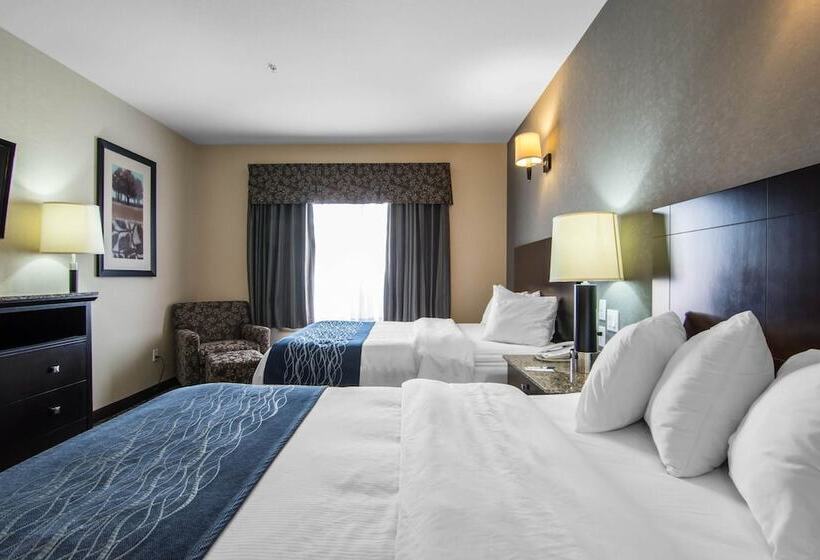 Люкс, Comfort Inn & Suites