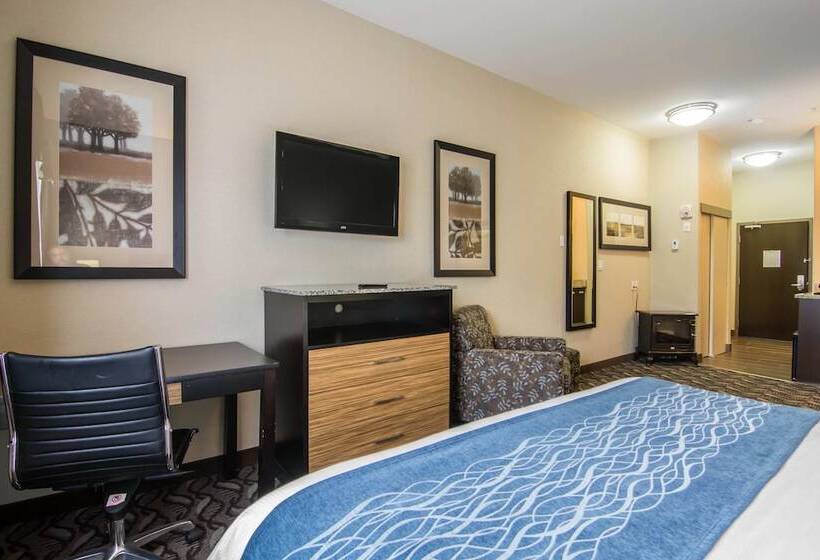 Люкс, Comfort Inn & Suites