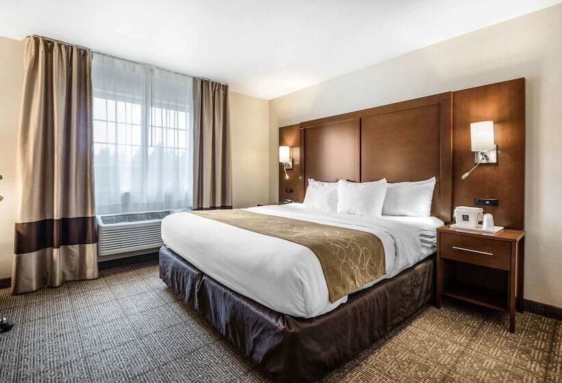 스위트, Comfort Suites At Par 4 Resort