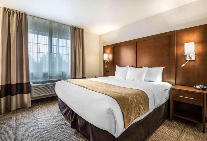 스위트 킹사이즈 침대, Comfort Suites At Par 4 Resort
