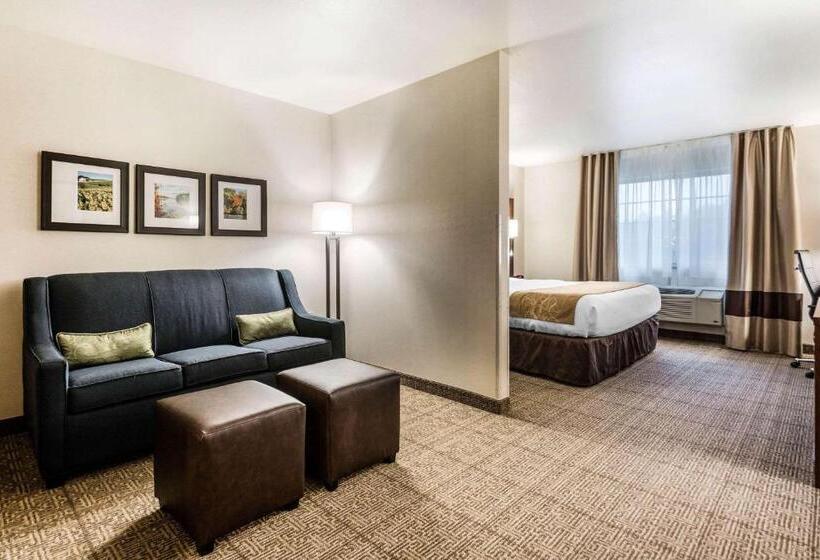 장애인을 위한 스위트, Comfort Suites At Par 4 Resort