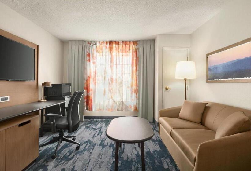 Студио Стандарт Кровать Кинг, Fairfield Inn & Suites Wheelingst. Clairsville, Oh
