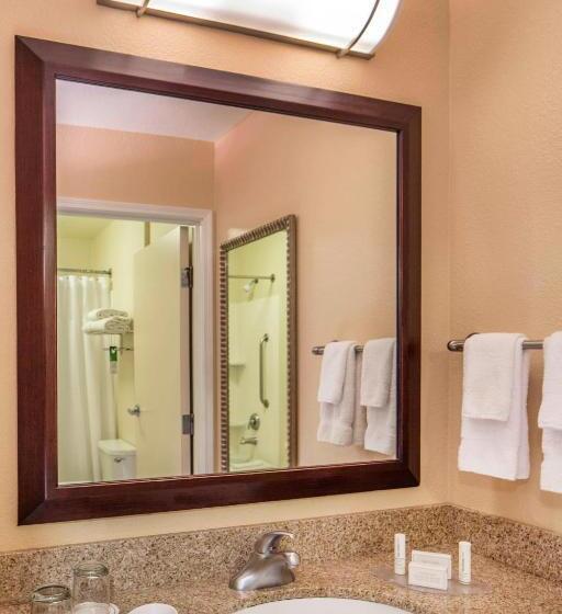 Sviitti King-vuode, Springhill Suites Laredo