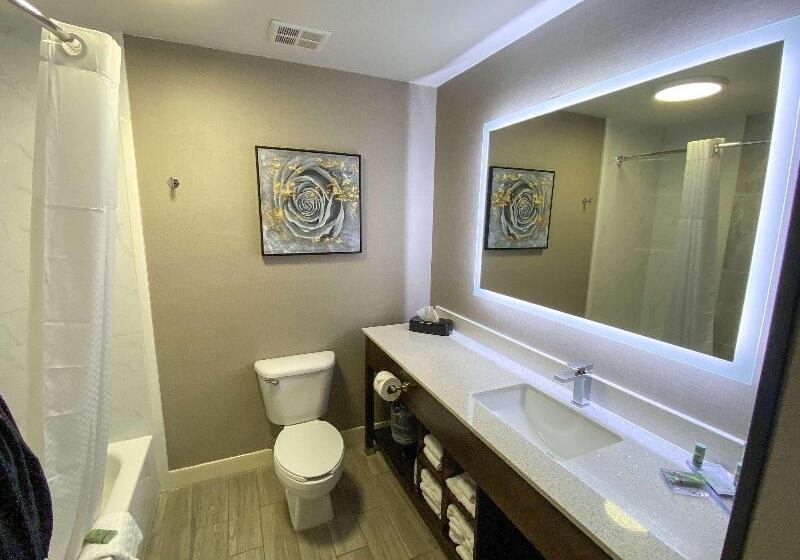 Номер Стандарт, Best Western Independence Kansas City