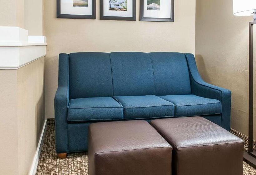 Люкс, Comfort Inn & Suites
