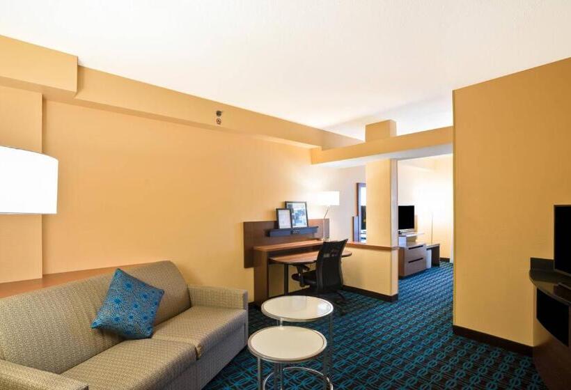 Люкс Кровать Кинг, Fairfield Inn & Suites Christiansburg