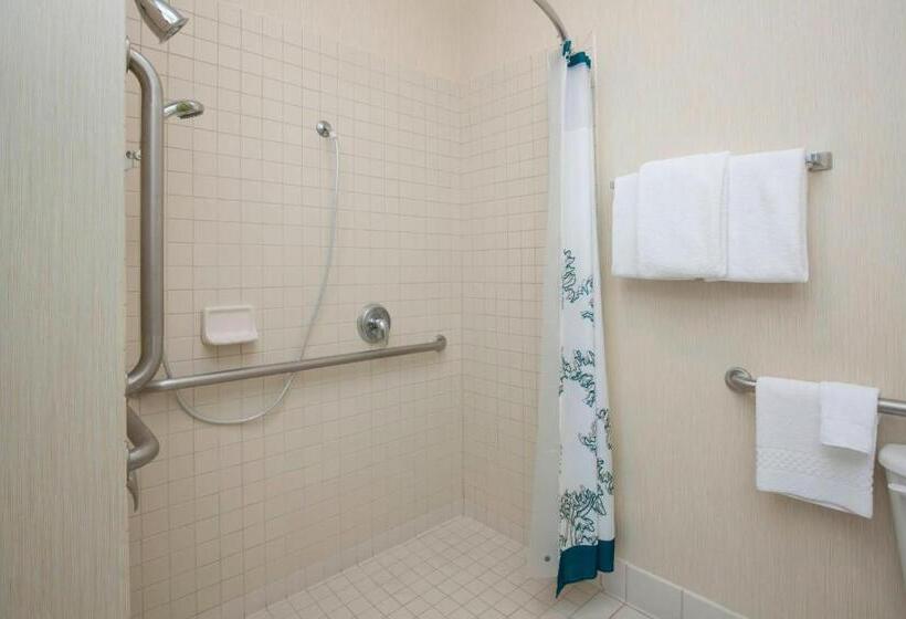 سوئیت 2 خوابه, Residence Inn Boise West