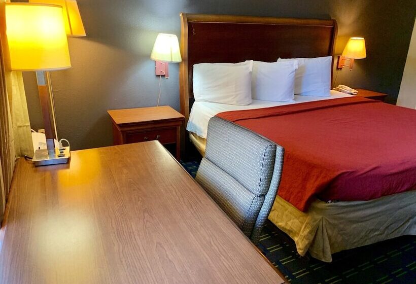 스탠다드 룸 킹사이즈 침대, Value Lodge   Gainesville