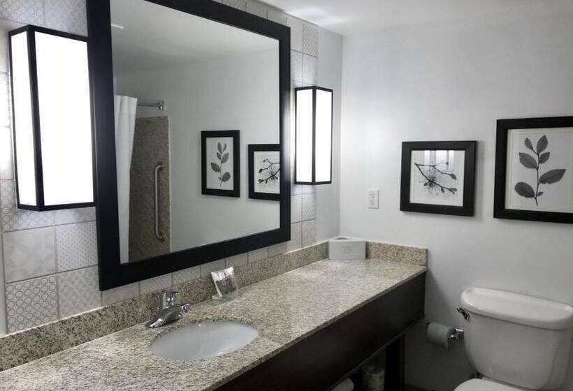 Номер Стандарт Кровать Кинг Адаптированный для Инвалидов, Country Inn & Suites By Radisson, Lake George Queensbury, Ny