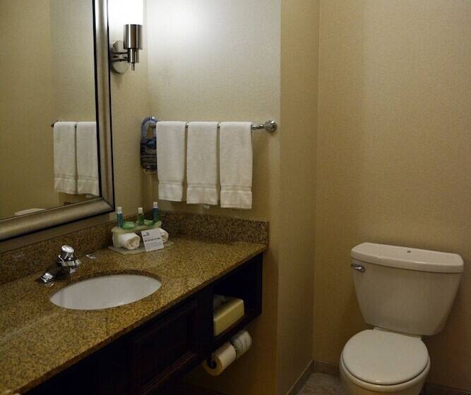 Quarto Estandar, Holiday Inn Express & Suites Youngstown West   Austintown By Ihg