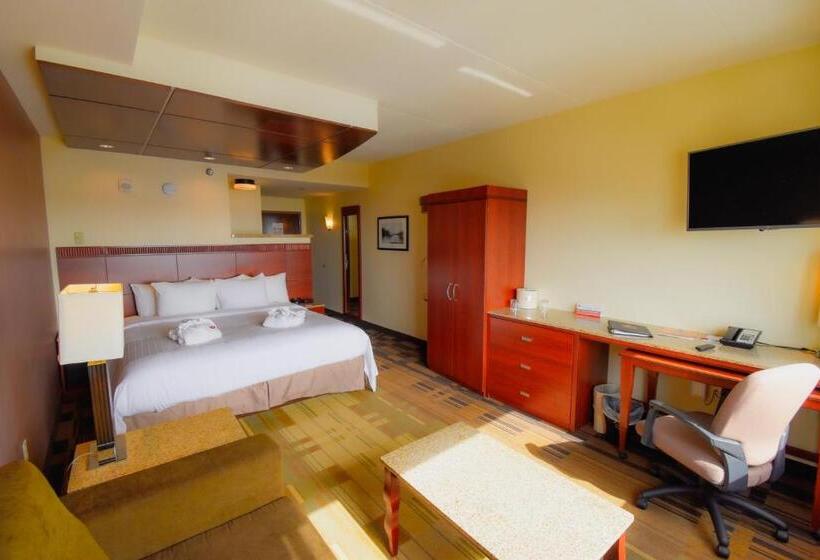 Одноместный Номер Executive, Canad Inns Destination Center Grand Forks