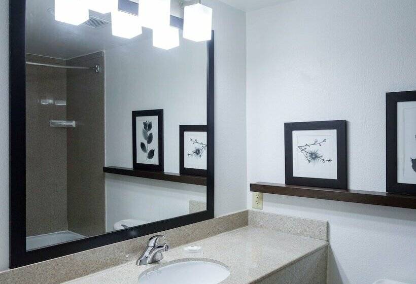 스탠다드 룸, Country Inn & Suites By Radisson, Washington, D.c. East  Capitol Heights, Md