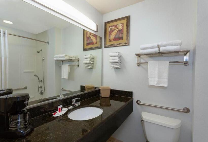 장애인을 위한 킹사이즈 침대 스탠다드 룸, Days Inn & Suites By Wyndham Lakeland