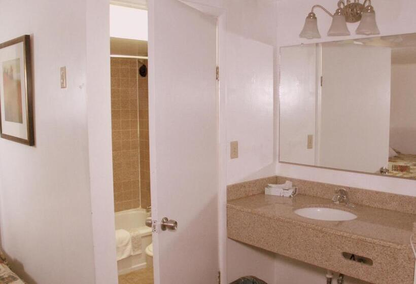 Стандартный Номер Кровать Кинг, Executive Inn & Suites