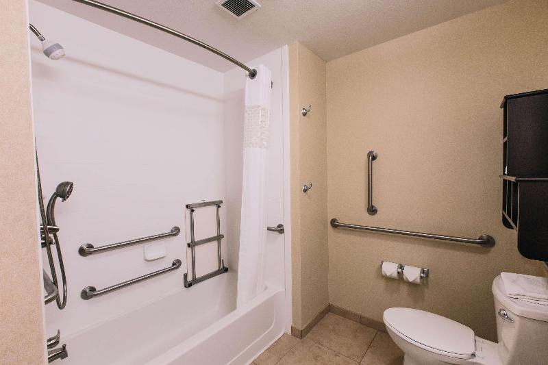 스탠다드 룸 킹사이즈 침대, Hampton Inn & Suites Effingham