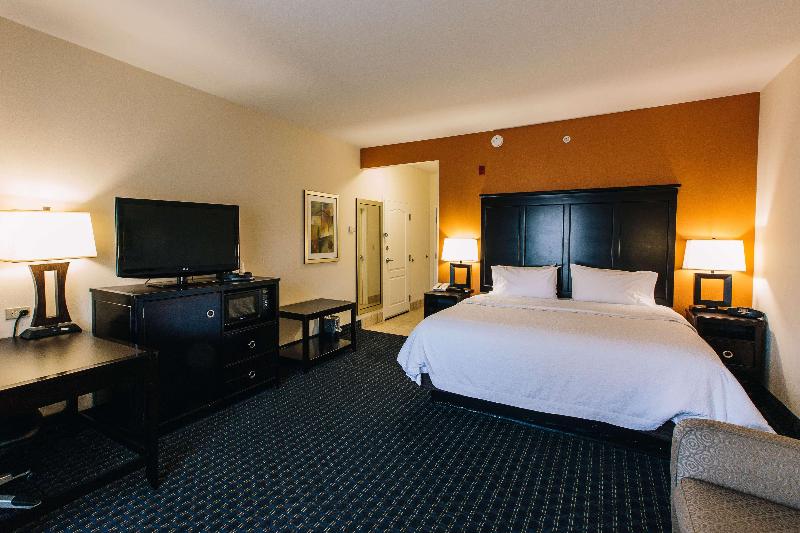 스탠다드 룸 킹사이즈 침대, Hampton Inn & Suites Effingham