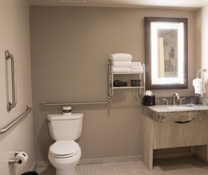 Люкс Адаптированный для Инвалидов, Hard Rock Hotel & Casino Tulsa
