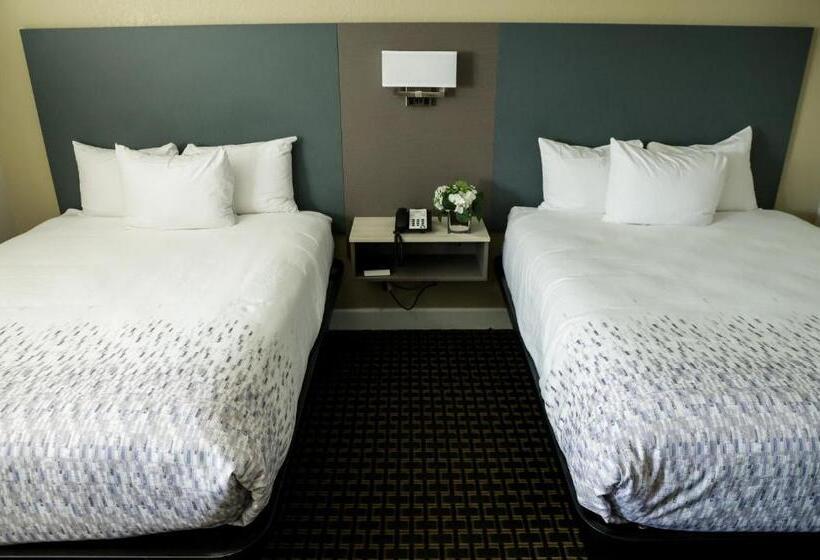 스탠다드 룸, Sea Breeze Inn   San Simeon