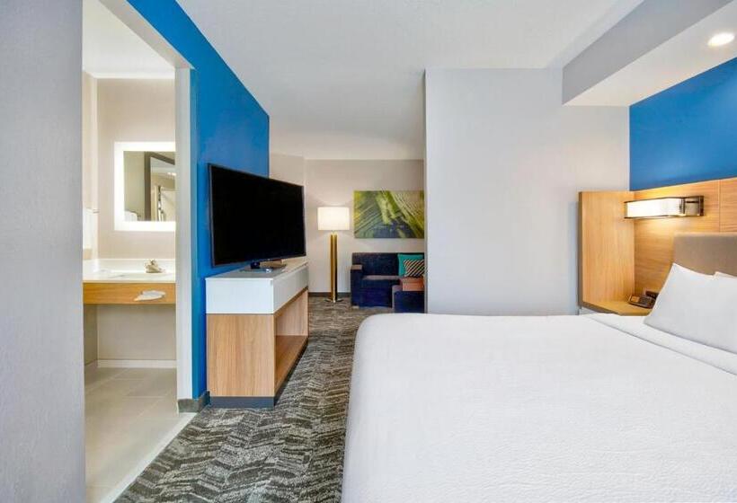 带大床的套房, Springhill Suites Erie
