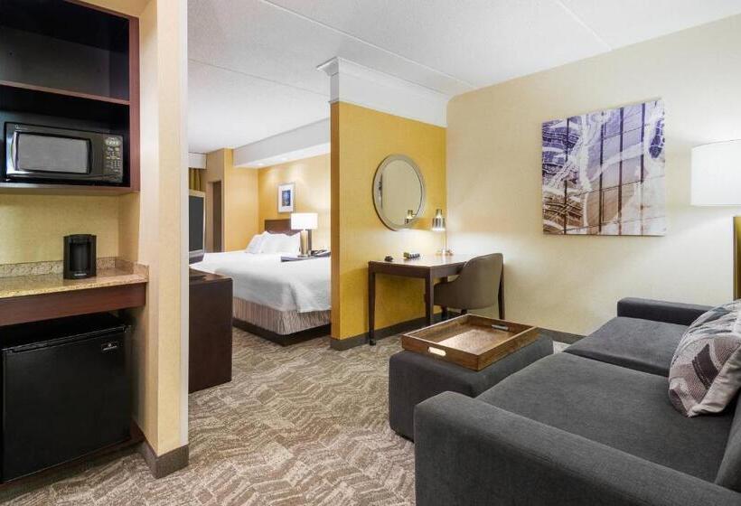Люкс, Springhill Suites By Marriott Wheeling Triadelphia Area