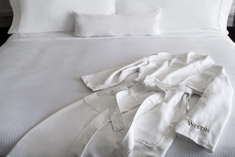 اتاق استاندارد با تخت بزرگ, The Westin Baltimore Washington Airport   Bwi