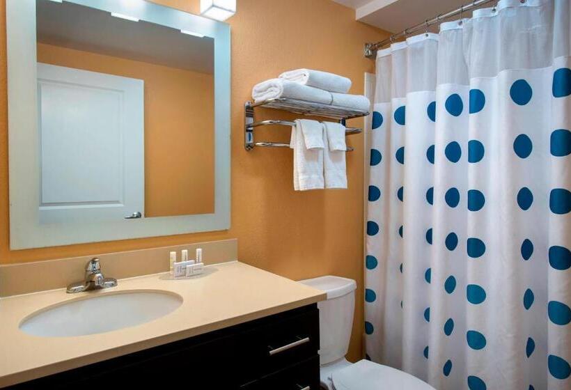 Люкс 2 Спальни, Towneplace Suites Republic Airport Long Island Farmingdale