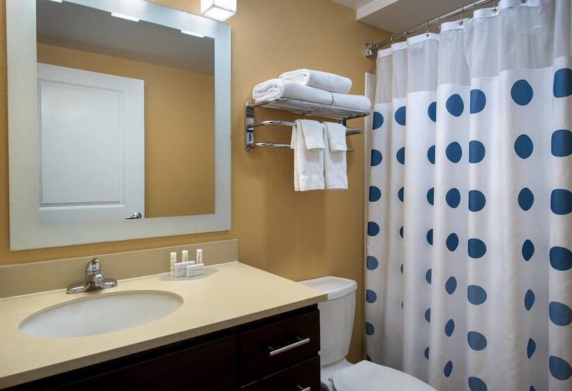 Люкс, Towneplace Suites Republic Airport Long Island Farmingdale