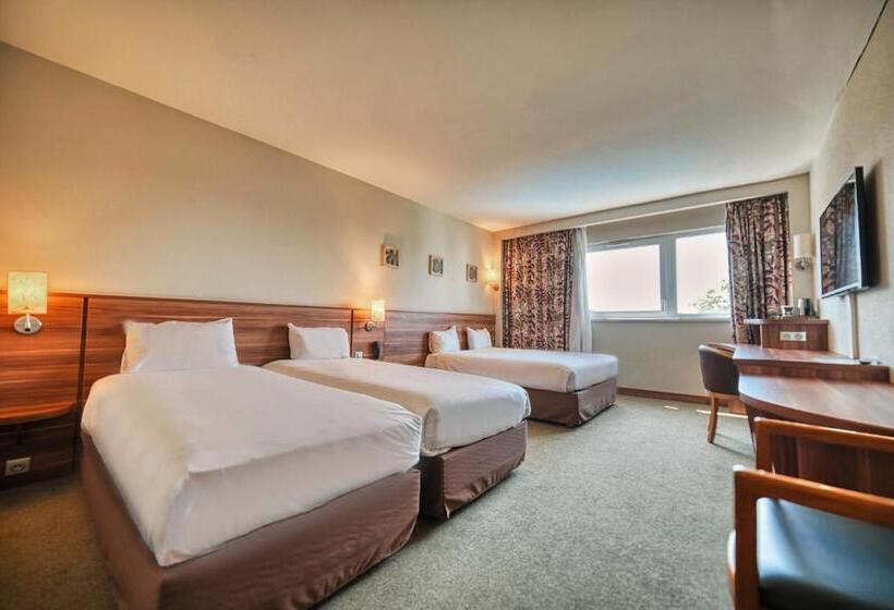 Трехместный Президентский, Kyriad Prestige Mulhouse Basel