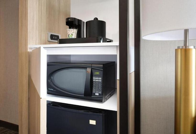 Студио Стандарт Кровать Кинг, Springhill Suites Minneapolisst. Paul Airport/mall Of America