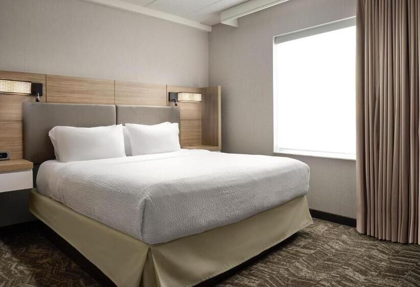 Студио Стандарт Кровать Кинг, Springhill Suites Minneapolisst. Paul Airport/mall Of America