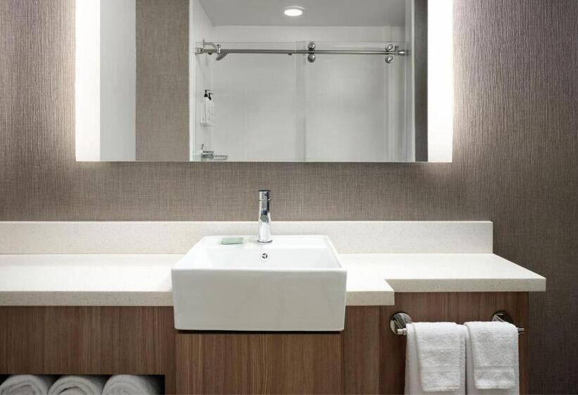 Студия Стандарт, Springhill Suites Minneapolisst. Paul Airport/mall Of America