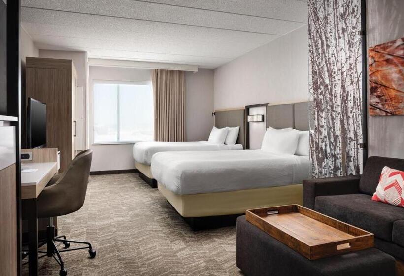 Студия Стандарт, Springhill Suites Minneapolisst. Paul Airport/mall Of America