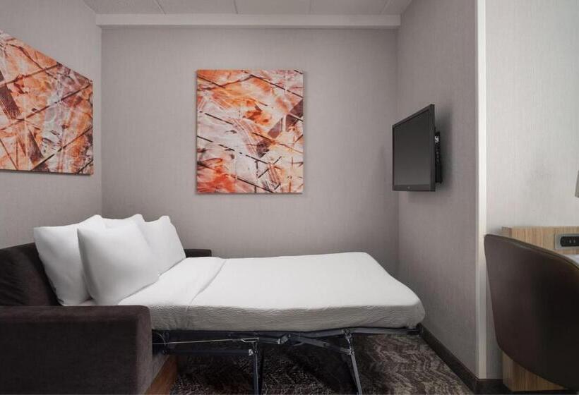 Люкс, Springhill Suites Minneapolisst. Paul Airport/mall Of America