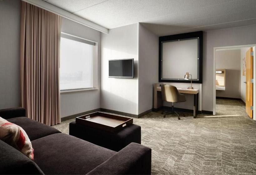 Люкс, Springhill Suites Minneapolisst. Paul Airport/mall Of America