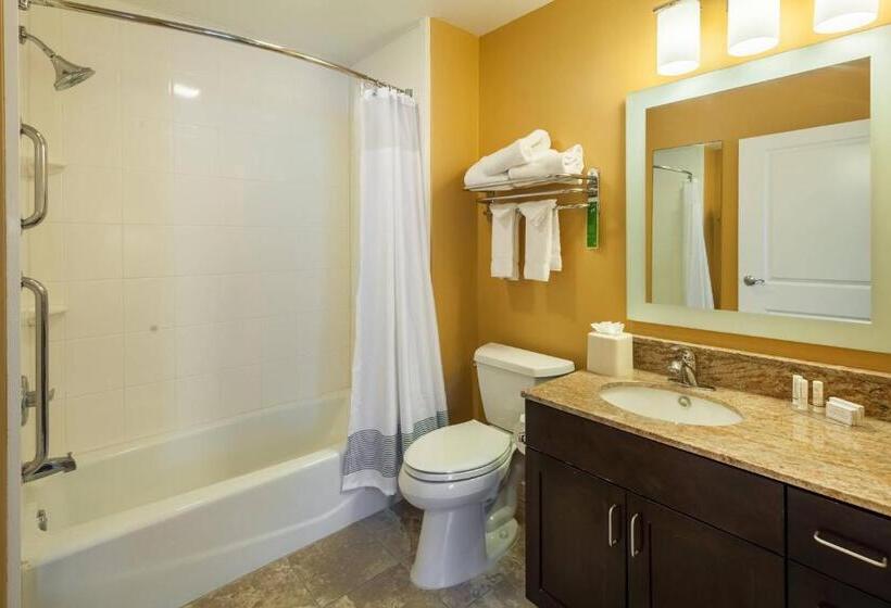 Люкс 2 Спальни, Towneplace Suites Jacksonville Butler Boulevard