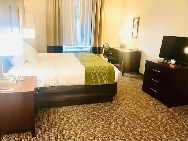 스탠다드 룸 킹사이즈 침대, Comfort Inn Hebronlowell Area