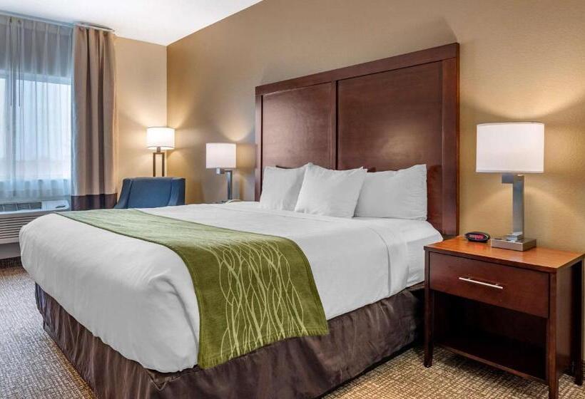 스탠다드 룸 킹사이즈 침대, Comfort Inn Hebronlowell Area