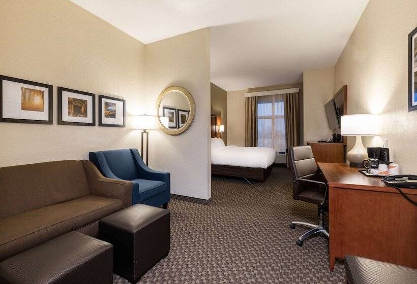 스위트, Comfort Suites Troyi75