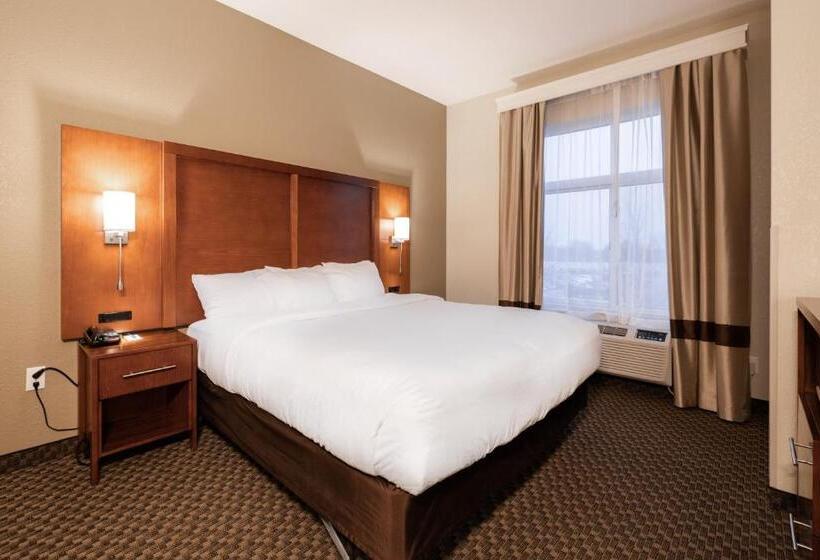 스위트 킹사이즈 침대, Comfort Suites Troyi75