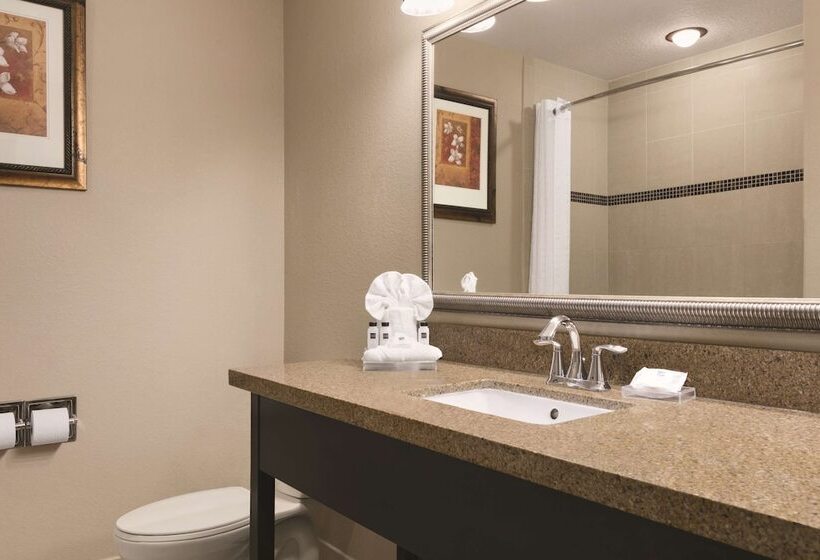 套房, Country Inn & Suites By Radisson, Tampa Airport North, Fl