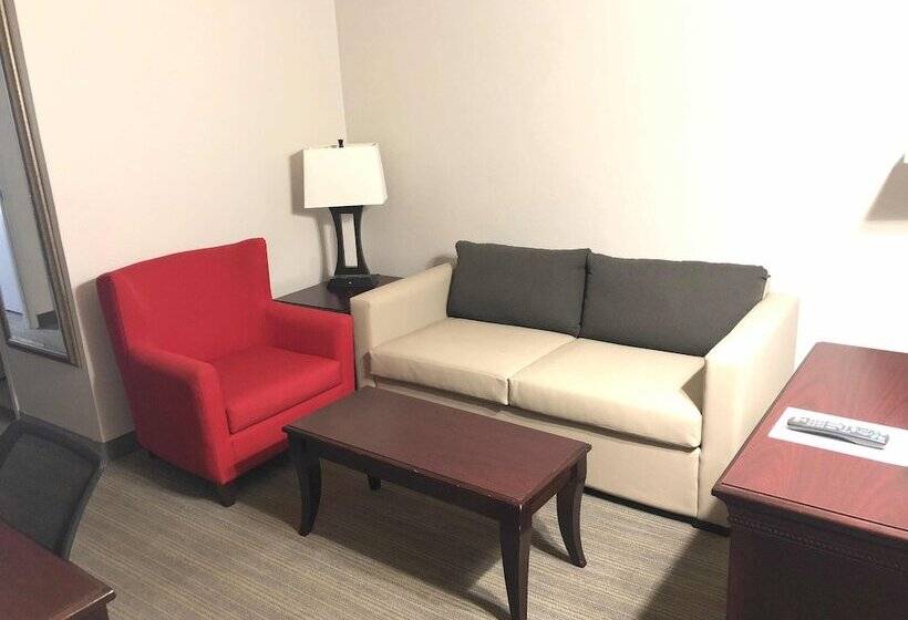 套房, Country Inn & Suites By Radisson, Tampa Airport North, Fl