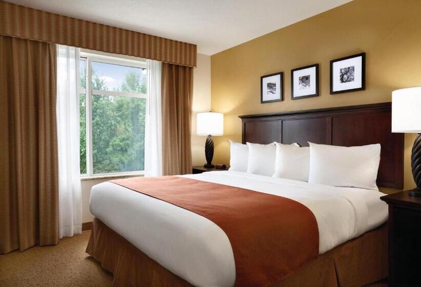 带大床的标准间, Country Inn & Suites By Radisson, Tampa Airport North, Fl