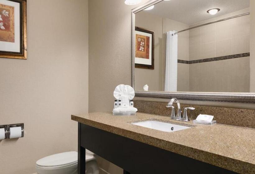 套房, Country Inn & Suites By Radisson, Tampa Airport North, Fl