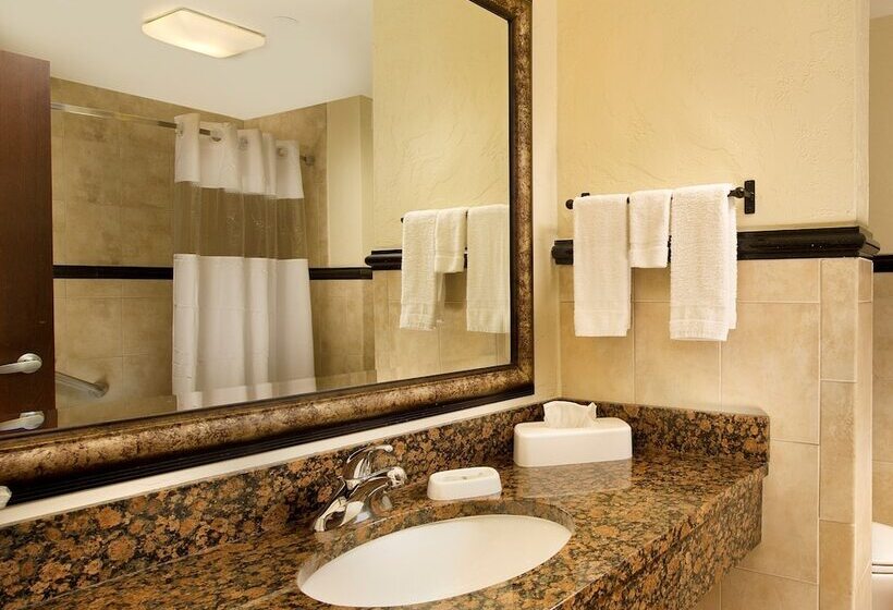 带观景的豪华间, Drury Inn & Suites San Antonio Near La Cantera