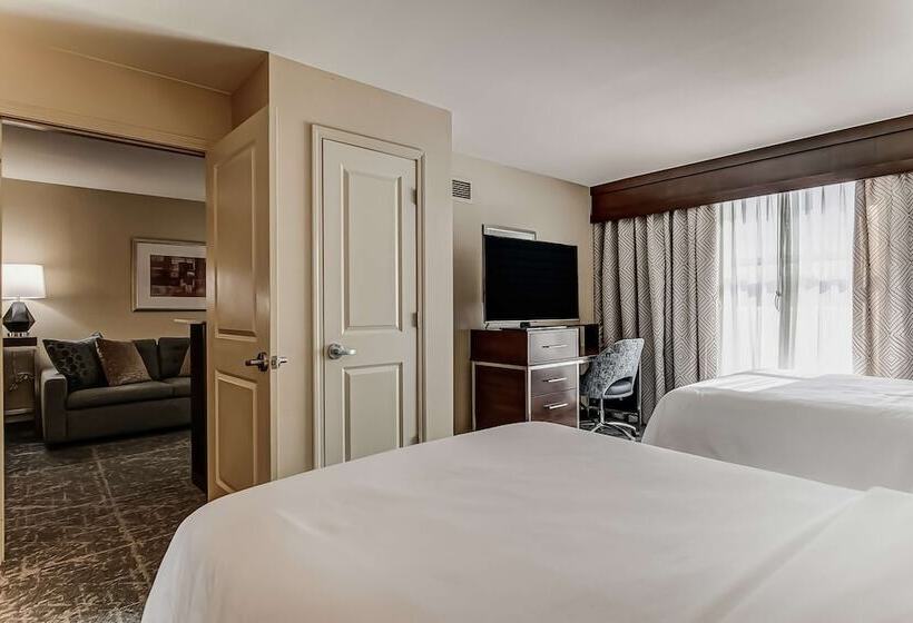 Люкс Адаптированный для Инвалидов, Embassy Suites Atlanta   Kennesaw Town Center