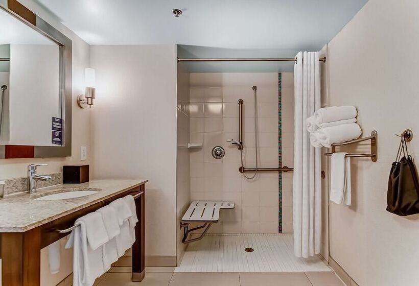 Люкс Адаптированный для Инвалидов, Embassy Suites Atlanta   Kennesaw Town Center