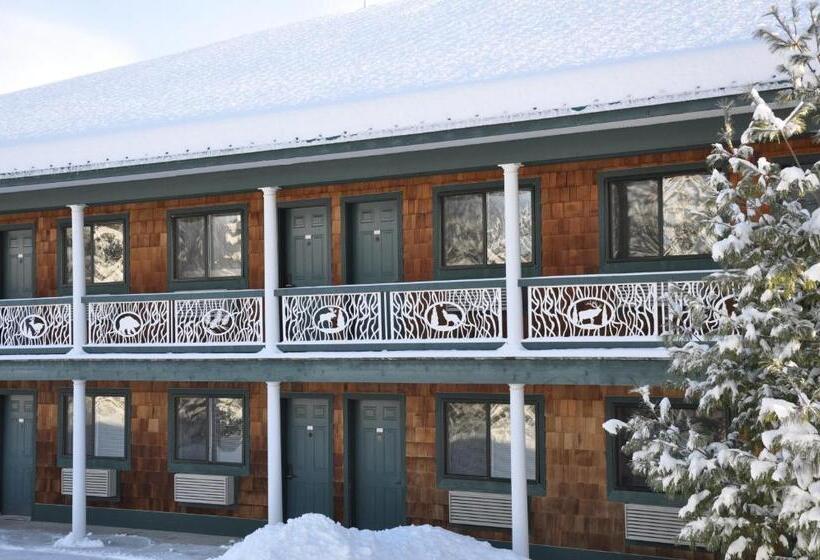 4인용 스탠다드 룸, The Legend Cottage Inn