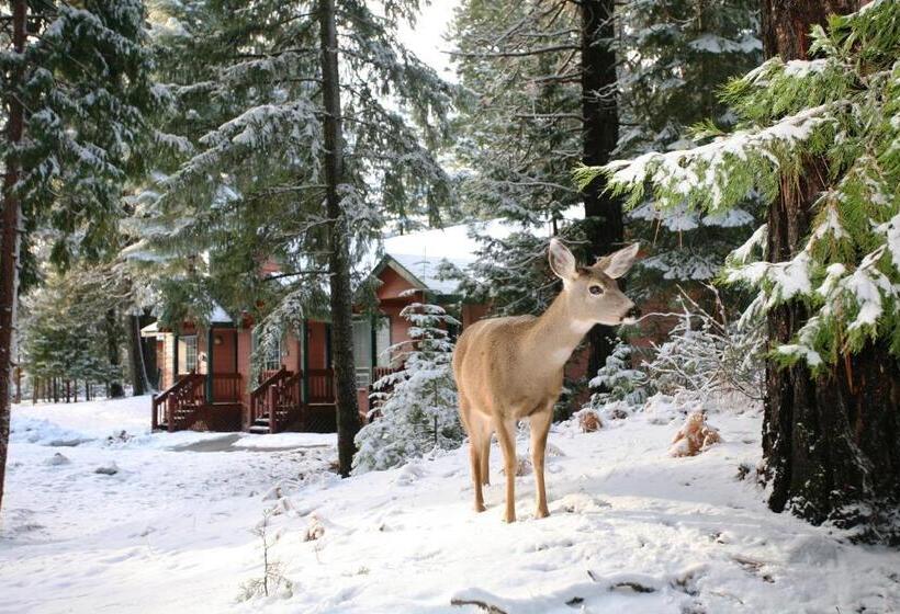 Номер Стандарт, Mount Shasta Resort