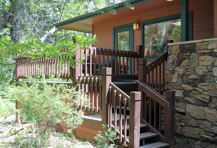 Шале 1 Спальня, Mount Shasta Resort