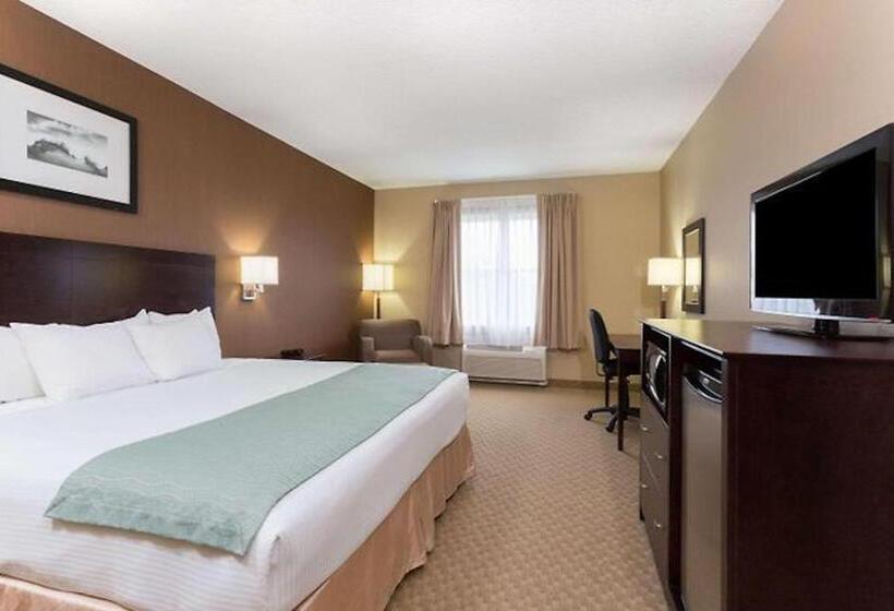 장애인을 위한 스위트, Palm Coast Hotel & Suites I 95
